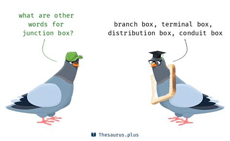 Thesaurus for Junction box